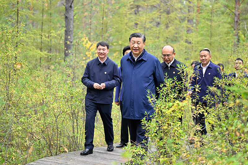 9月6日至8日，中共中央总书记、国家主席、中央军委主席习近平在黑龙江考察。这是6日下午，习近平在大兴安岭地区漠河市漠河林场自然林区考察